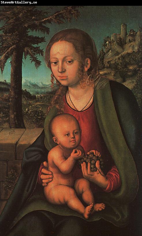 Lucas  Cranach The Madonna with the Bunch of Grapes